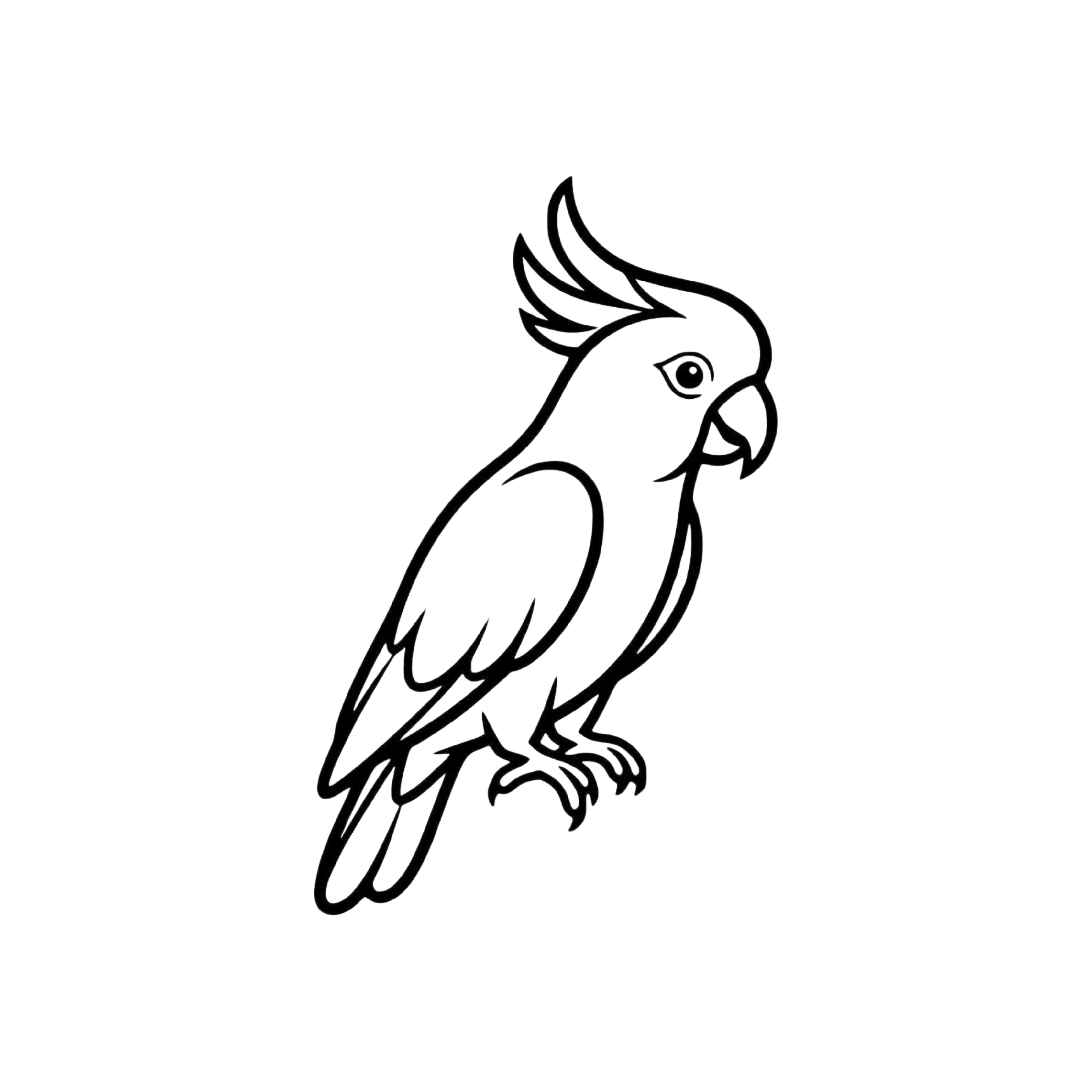 Polly