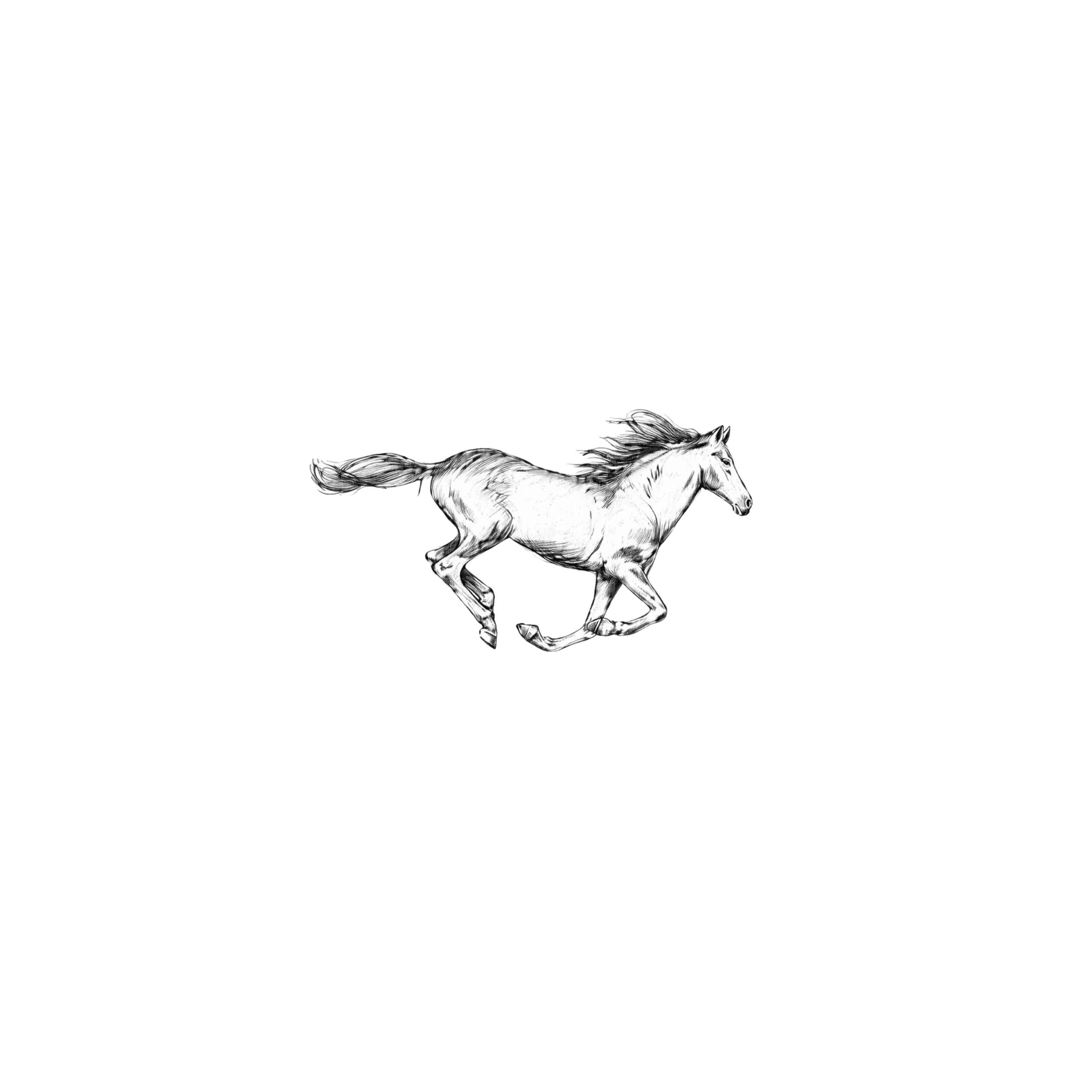 Chasing Freedom