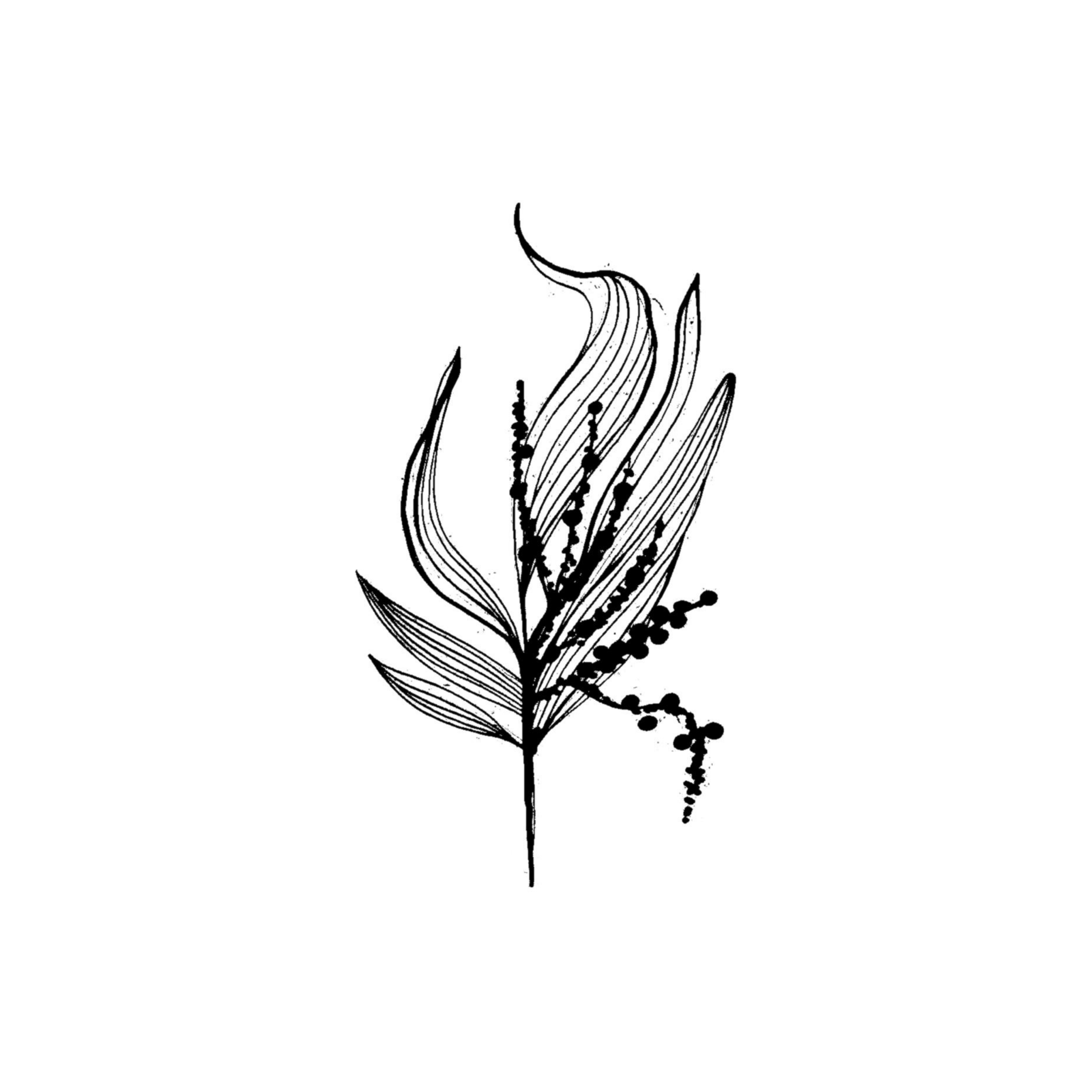 Wild Spring