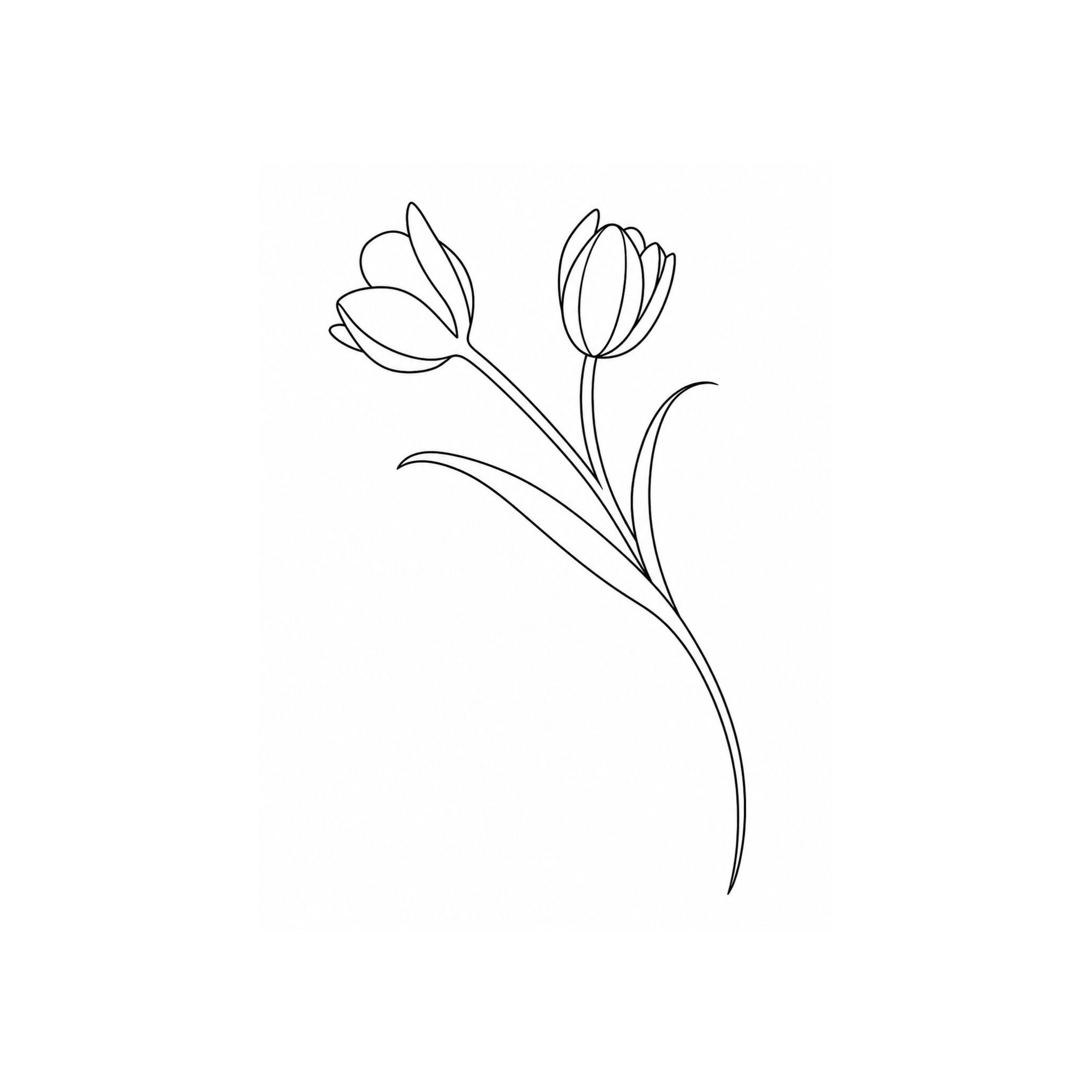 Double Bloom