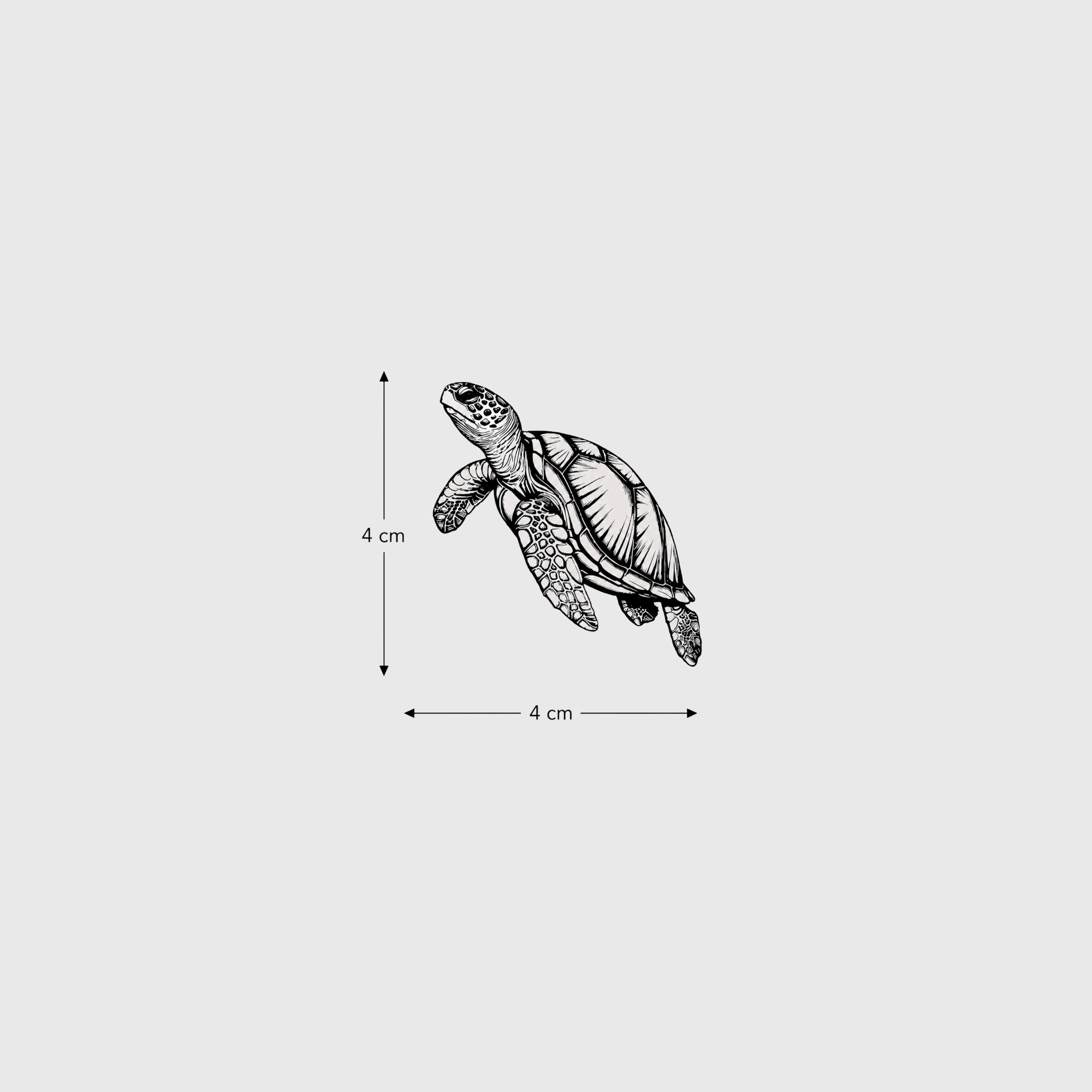 Sea Turtle
