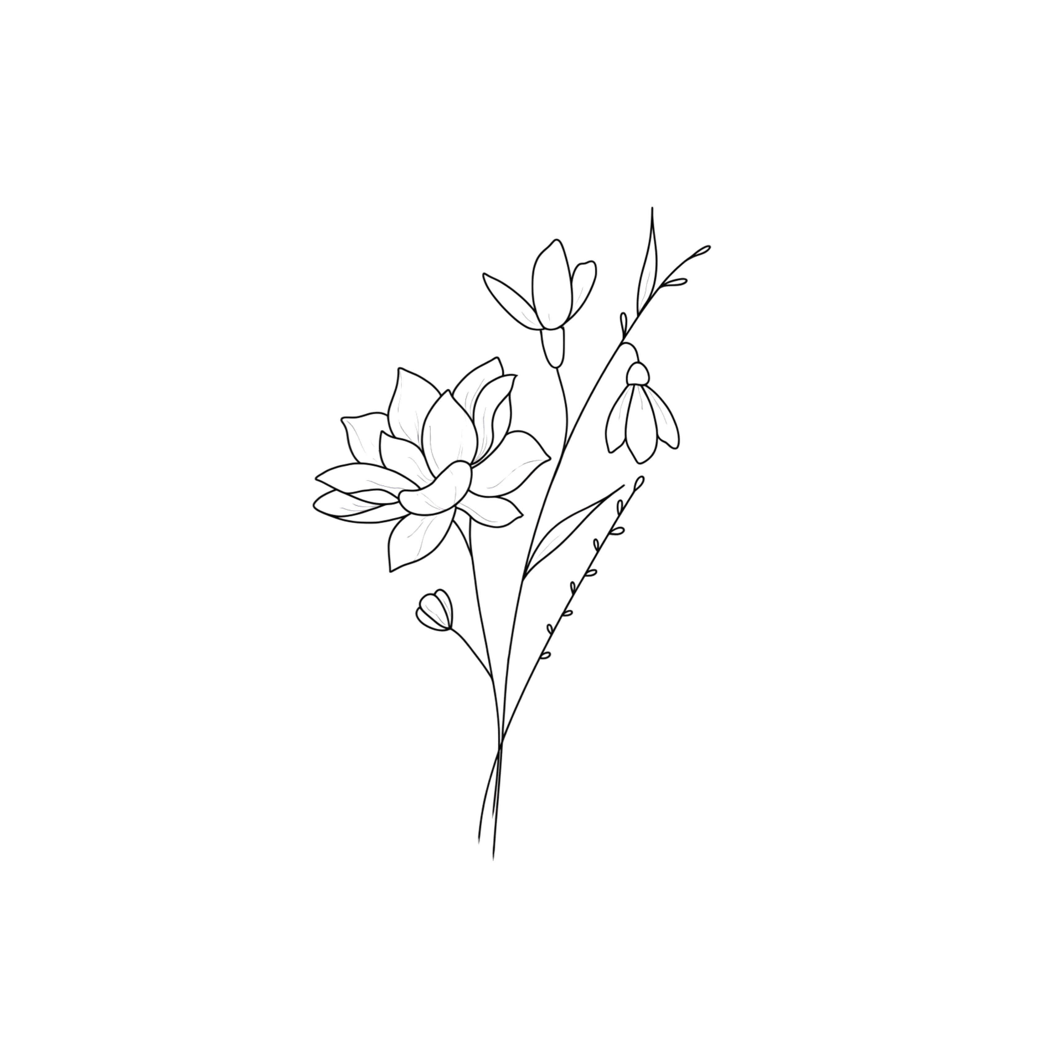Bontanica