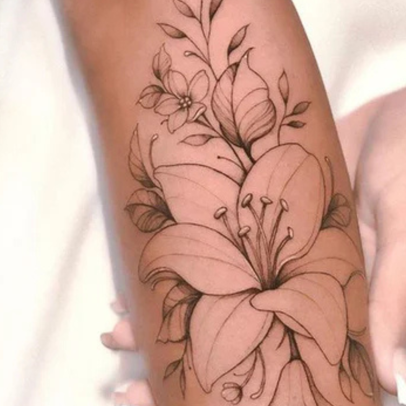 Lily Lover
