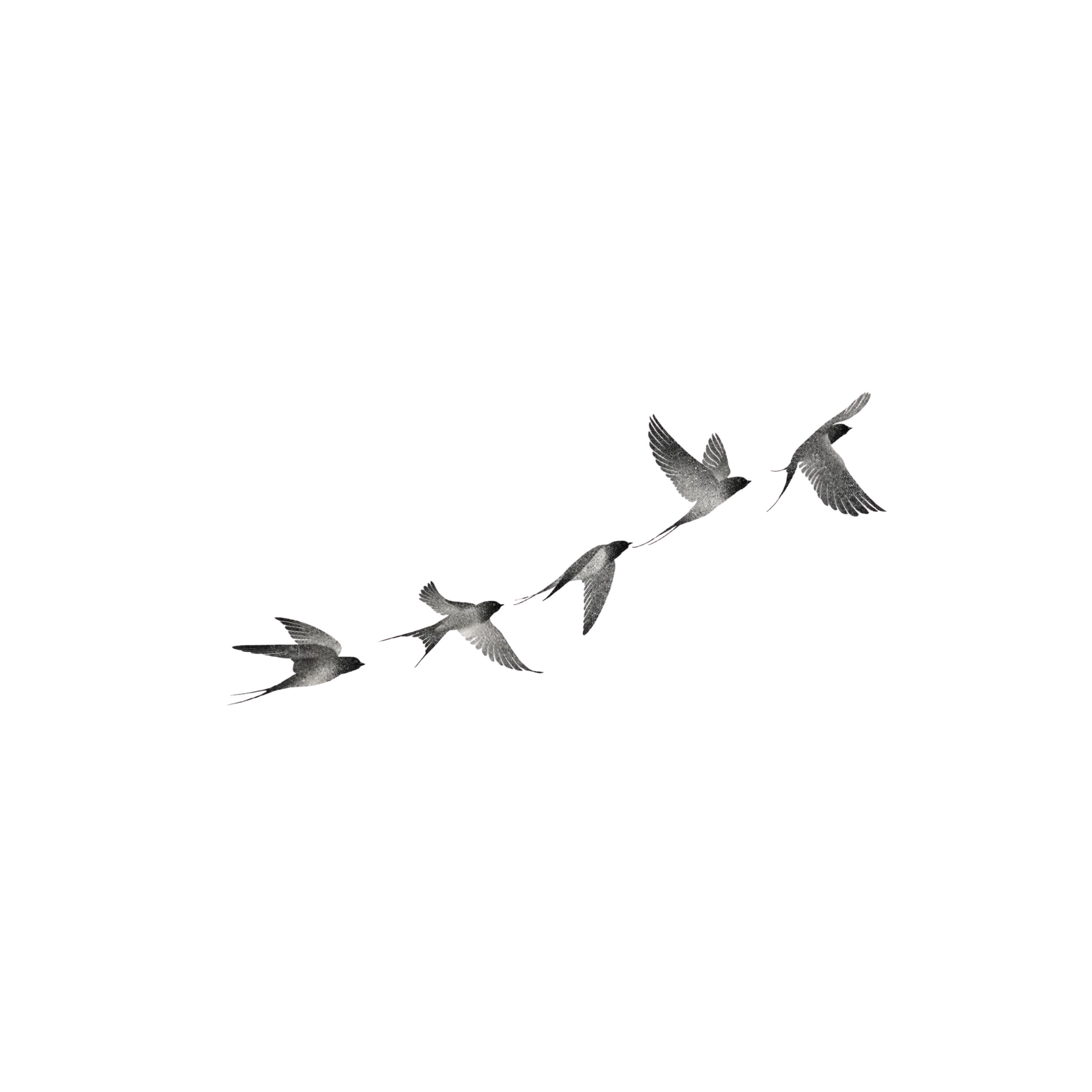 Into the Sky
