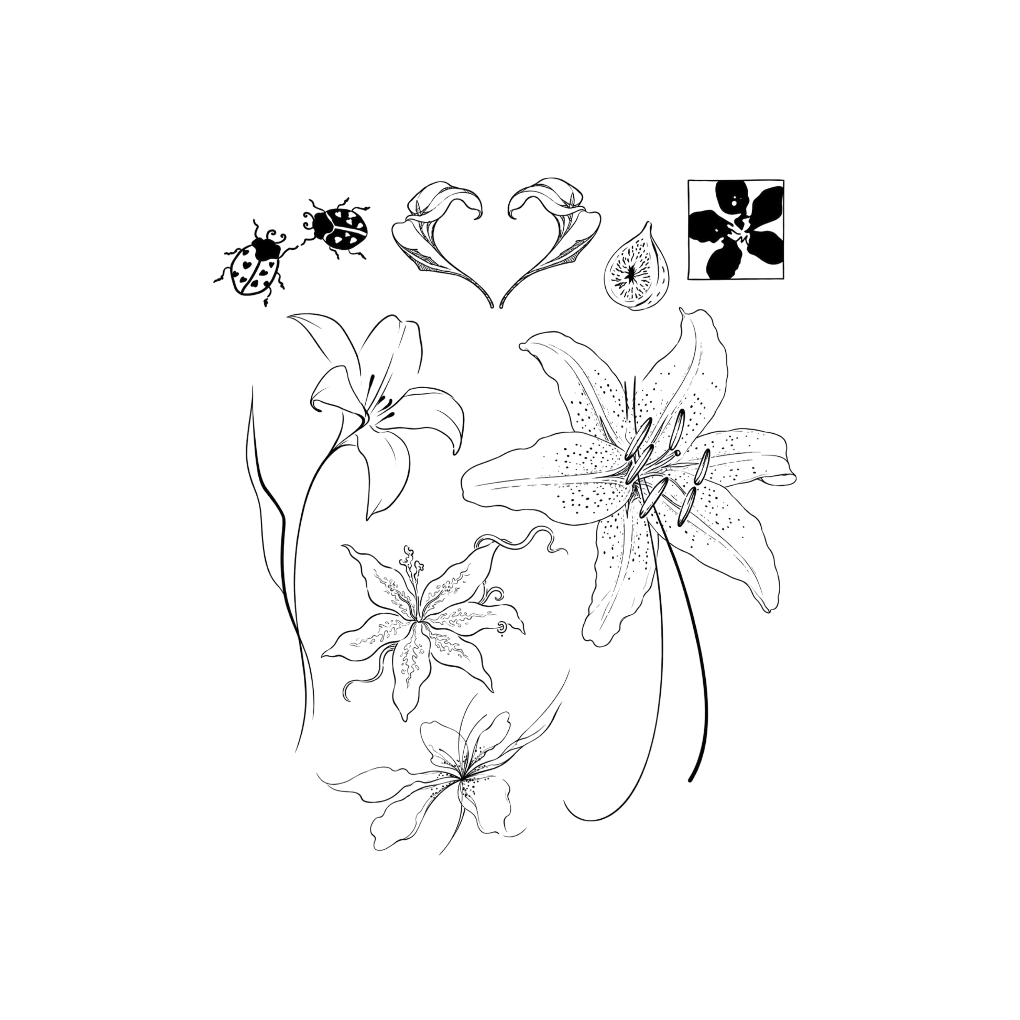 Lily Patch