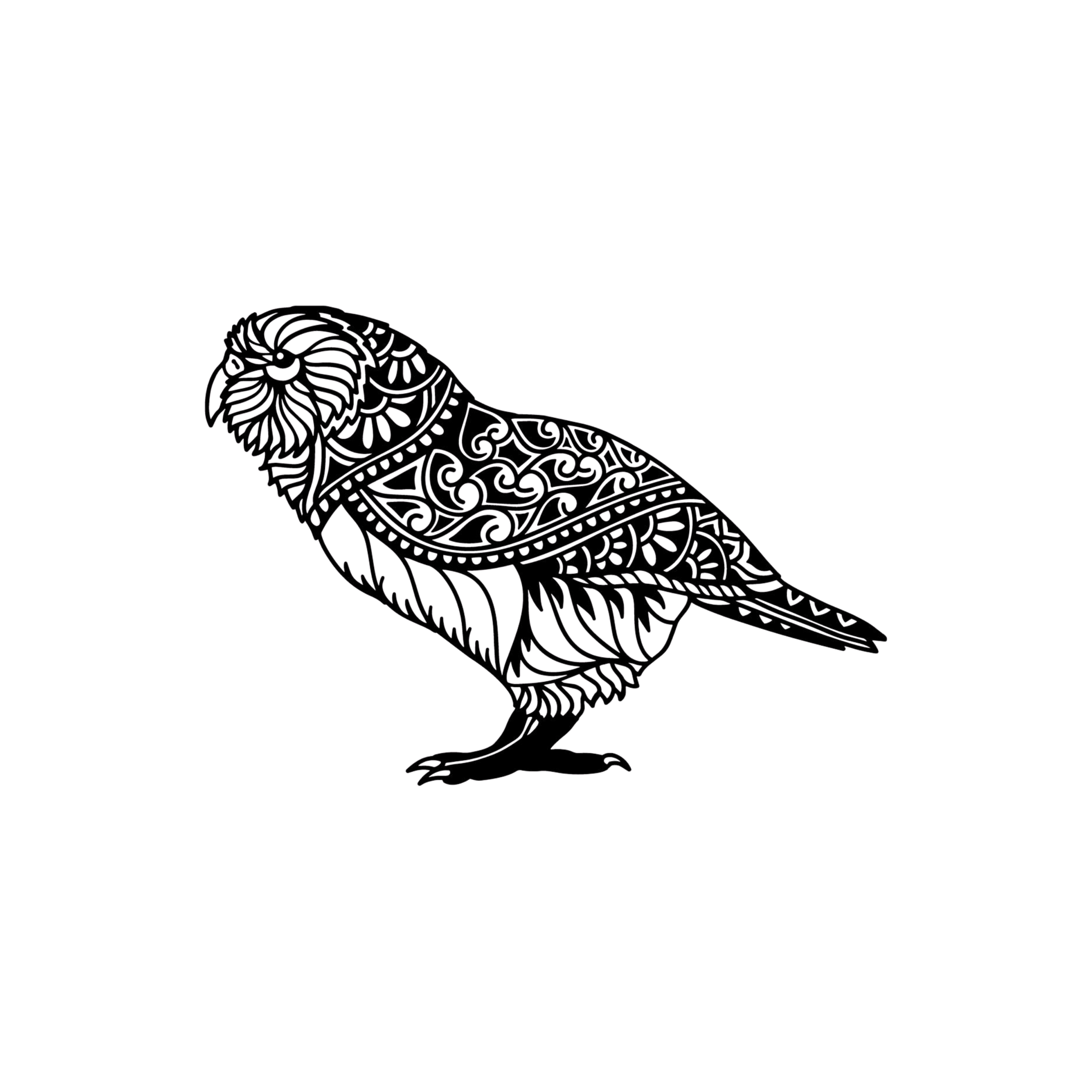 Wander Bird