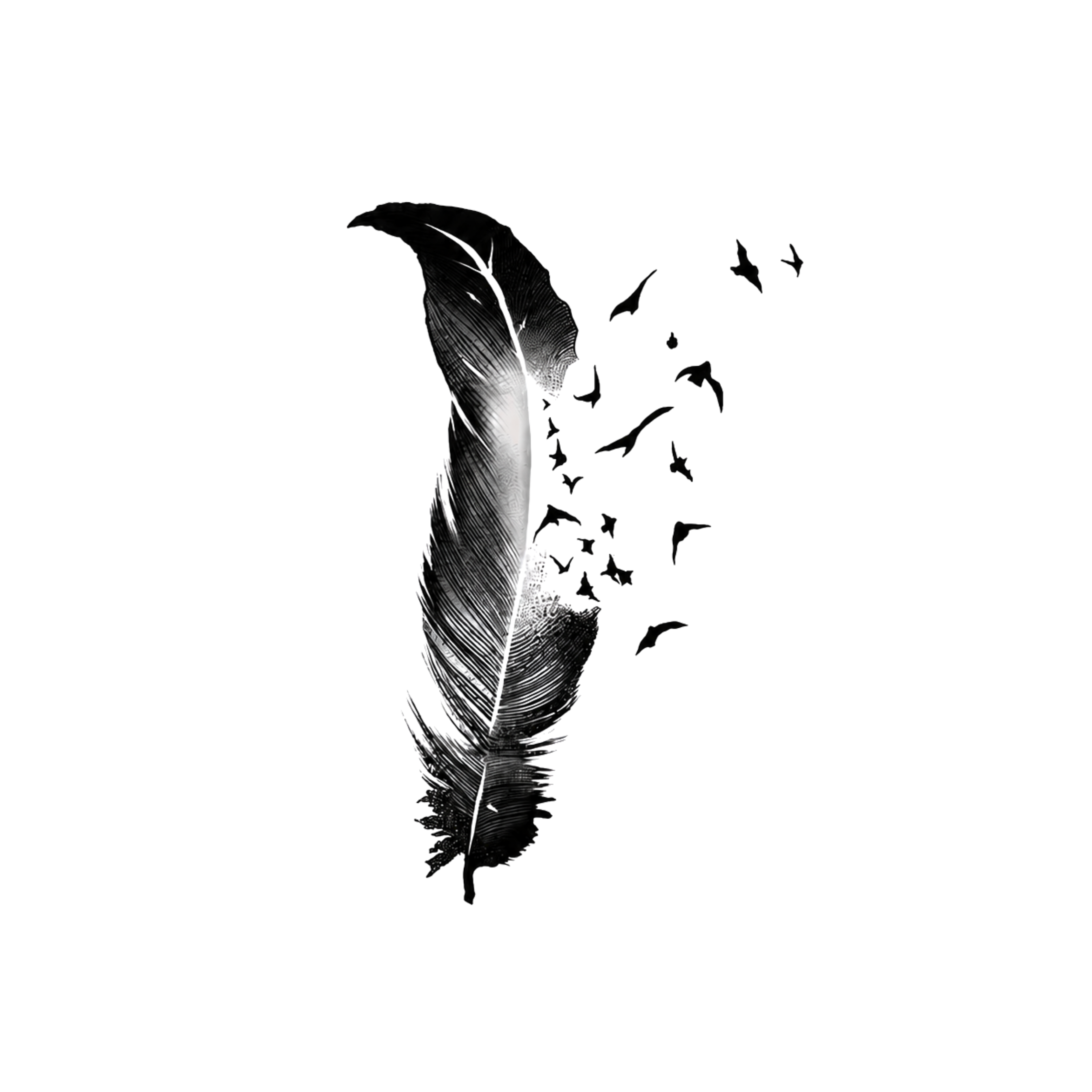 Freedom