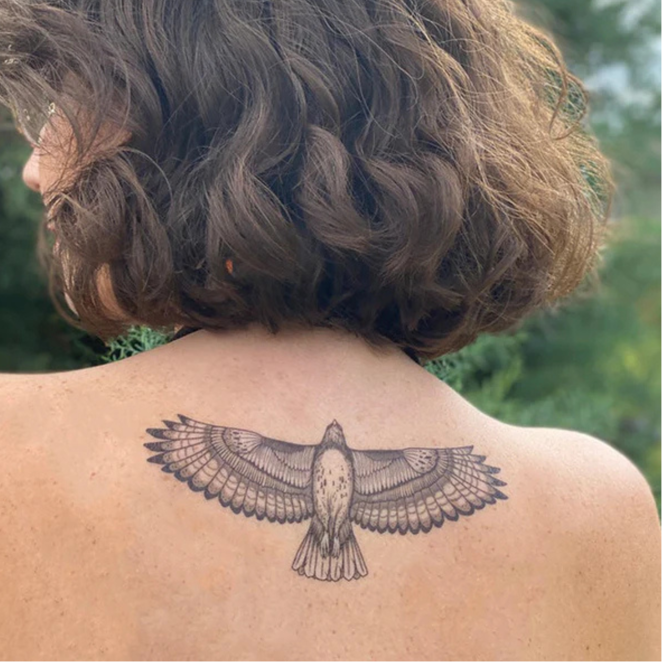 Open Wings