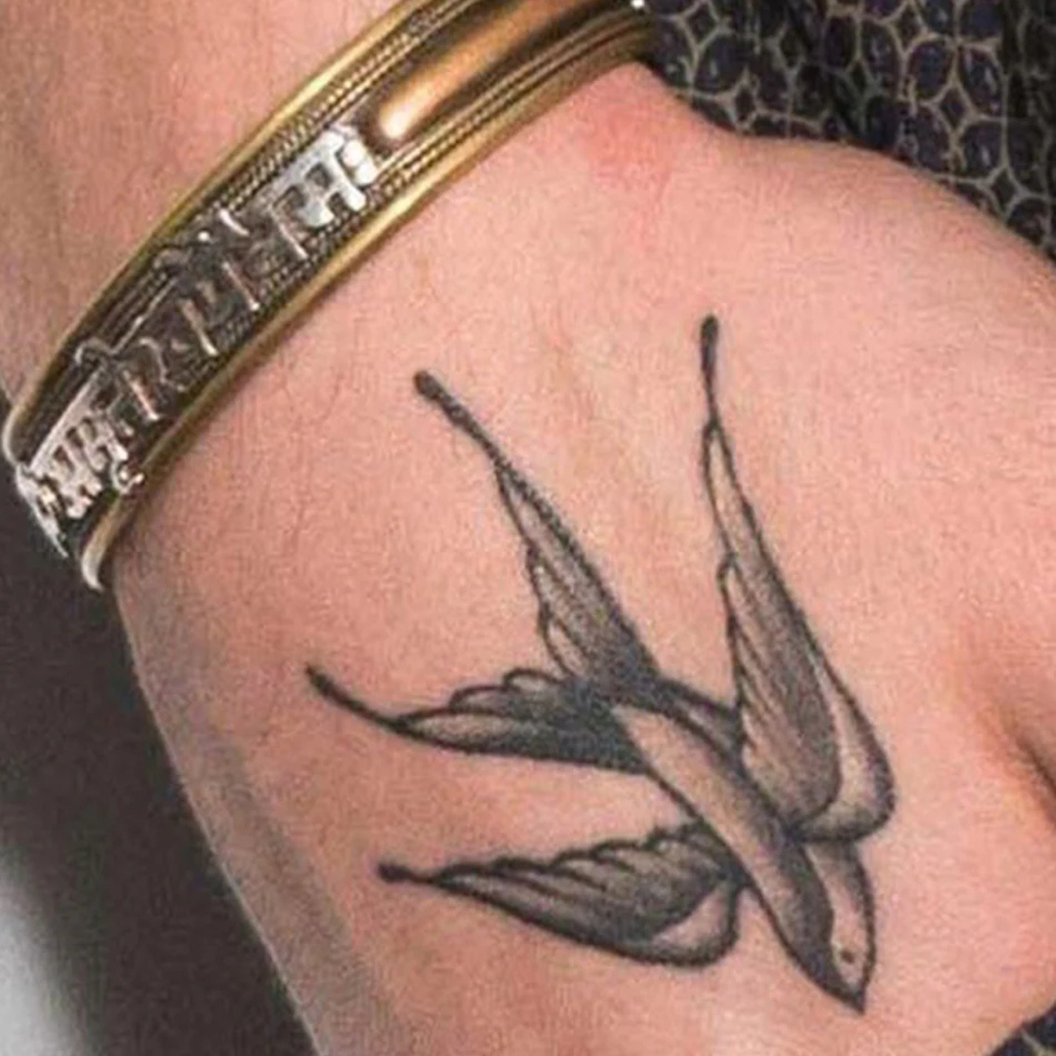 Boundless Swallows