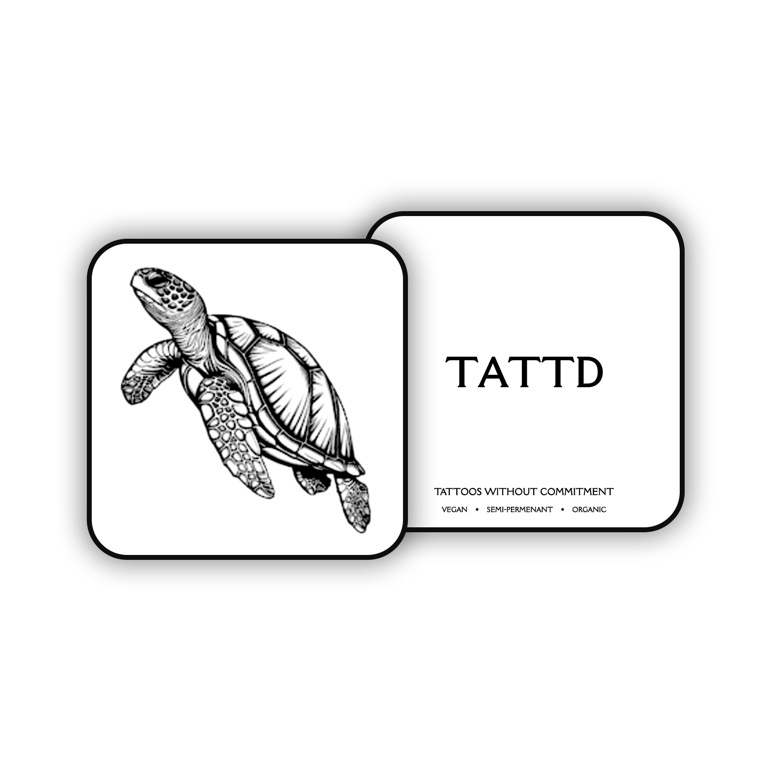 Sea Turtle