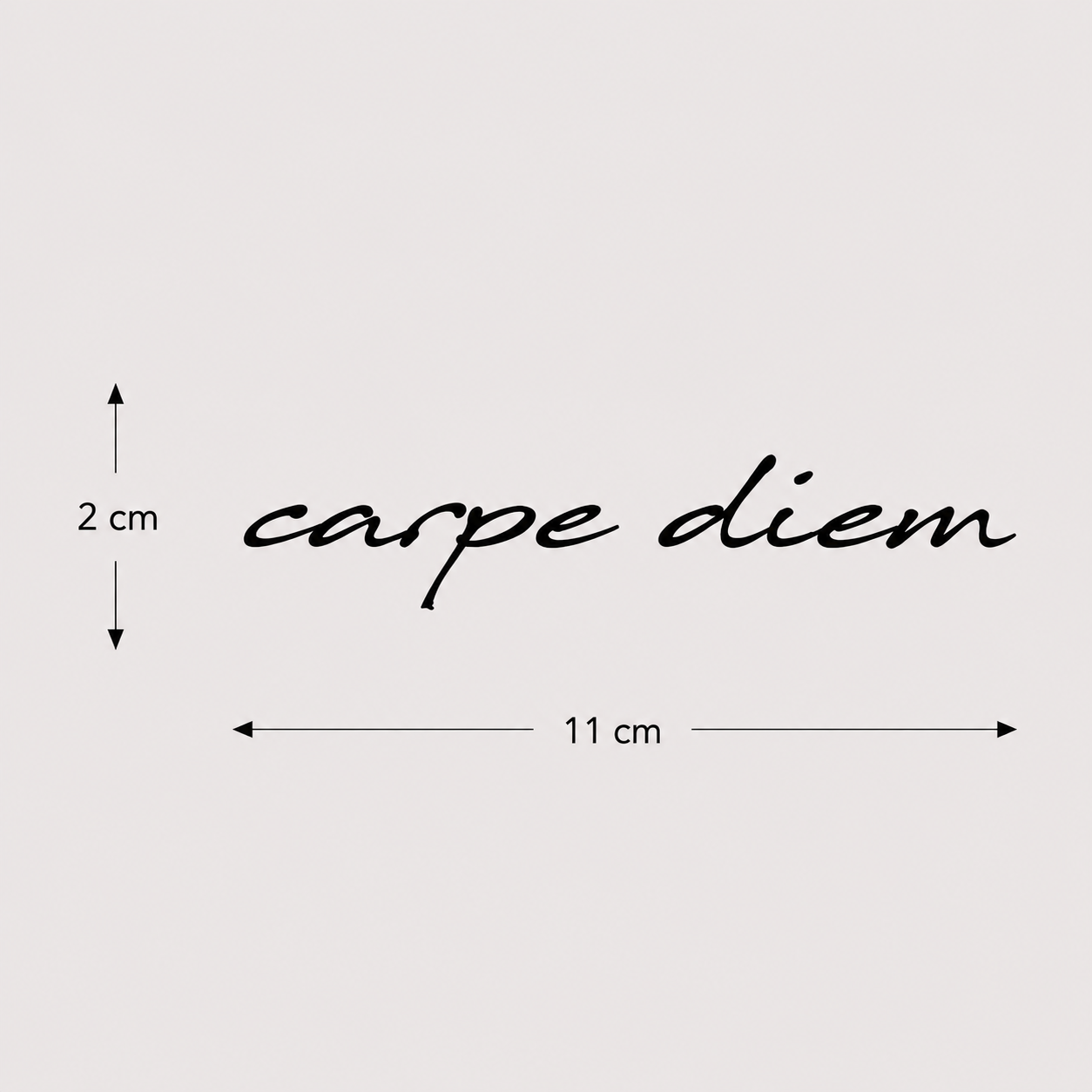 Carpe Diem